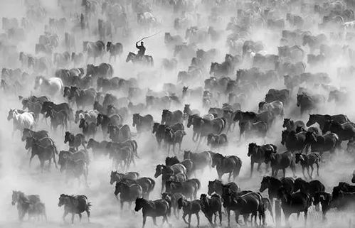 追梦这五年，梧州文艺且歌且行——文艺创作篇