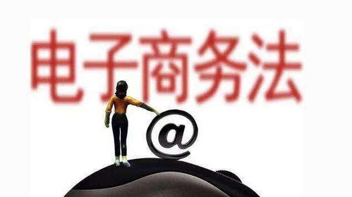 咸鱼卖家 从个人闲置到电子商务经营者的身份转变